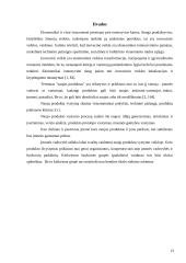 Organizacijos pokyčių ir inovacinės veiklos valdymas 14 puslapis