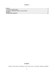 Organizacijos pokyčių valdymas 2 puslapis