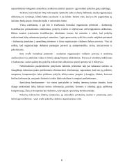 Organizacijos pokyčių valdymas 8 puslapis