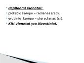 Technologiniai matavimai ir tolerancijos 8 puslapis