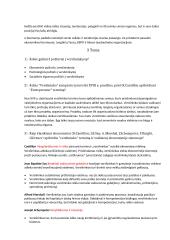 Verslininkystės konspektas 5 puslapis