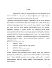 Strateginis organizacijos vystymas 2 puslapis