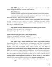 Strateginis organizacijos vystymas 11 puslapis