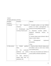 Strateginis organizacijos vystymas 13 puslapis