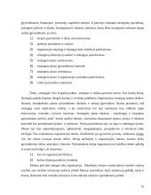 Strateginis organizacijos vystymas 16 puslapis