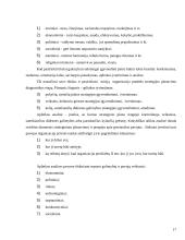 Strateginis organizacijos vystymas 17 puslapis