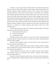 Strateginis organizacijos vystymas 18 puslapis