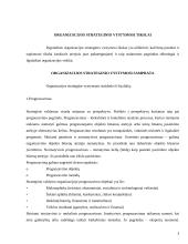 Strateginis organizacijos vystymas 3 puslapis