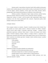 Strateginis organizacijos vystymas 5 puslapis