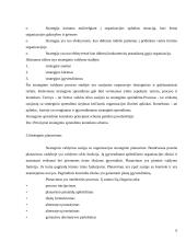 Strateginis organizacijos vystymas 6 puslapis