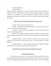 Strateginis organizacijos vystymas 7 puslapis