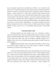 Strateginis organizacijos vystymas 8 puslapis