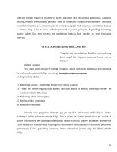 Strateginis organizacijos vystymas 10 puslapis