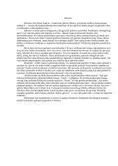 Rašinys apie keliones