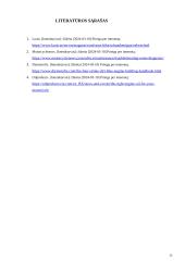 Motociklų keturtakčiai varikliai ir jų TP priežiūra 10 puslapis