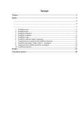 Organizacijų konfliktai 2 puslapis