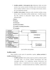Organizacijų konfliktai 12 puslapis