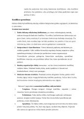 Organizacijų konfliktai 13 puslapis