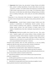 Organizacijų konfliktai 17 puslapis