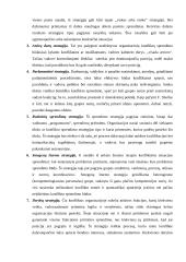 Organizacijų konfliktai 19 puslapis