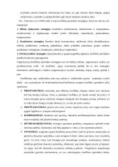 Organizacijų konfliktai 20 puslapis