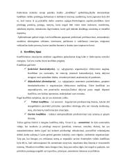 Organizacijų konfliktai 6 puslapis