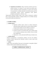 Organizacijų konfliktai 9 puslapis