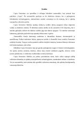 Hibridinis automobilis Cupra Formentor 2 puslapis