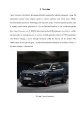 Hibridinis automobilis Cupra Formentor 3 puslapis