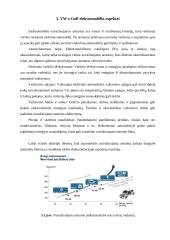 Elektromobilis Volkswagen e-Golf 9 puslapis