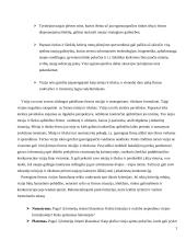 Organizacijų misija, vizija, tikslai 7 puslapis