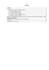 Organizacijų struktūra 2 puslapis