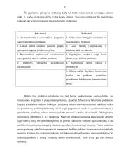 Organizacijų struktūra 12 puslapis