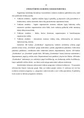 Organizacijų struktūra 14 puslapis