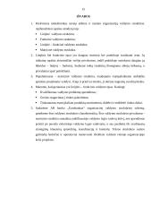 Organizacijų struktūra 15 puslapis