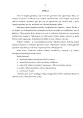 Organizacijų struktūra 3 puslapis