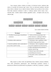 Organizacijų struktūra 5 puslapis