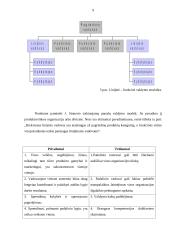 Organizacijų struktūra 9 puslapis