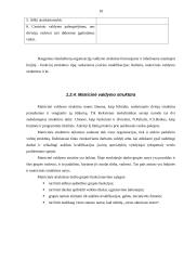 Organizacijų struktūra 10 puslapis