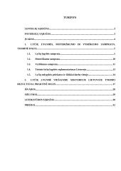 Lyčių lygybė viešajame sektoriuje Lietuvoje (referatas)