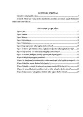 Lyčių lygybė viešajame sektoriuje Lietuvoje (referatas) 2 puslapis