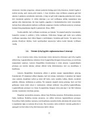Lyčių lygybė viešajame sektoriuje Lietuvoje (referatas) 12 puslapis