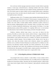 Lyčių lygybė viešajame sektoriuje Lietuvoje (referatas) 13 puslapis