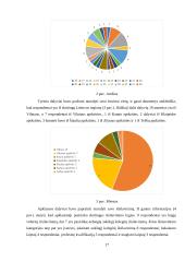 Lyčių lygybė viešajame sektoriuje Lietuvoje (referatas) 17 puslapis