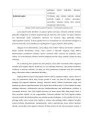 Lyčių lygybė viešajame sektoriuje Lietuvoje (referatas) 7 puslapis