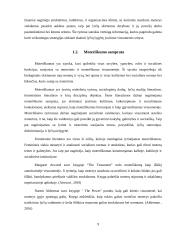 Lyčių lygybė viešajame sektoriuje Lietuvoje (referatas) 9 puslapis