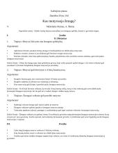 Kas motyvuoja žmogų? Planas