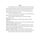 Organizacijų valdymo struktūrų raida. Linijinės, funkcinės ir matricinės jų komponentės 2 puslapis