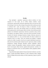 Organizacijų valdymo struktūrų raida. Linijinės, funkcinės ir matricinės jų komponentės 11 puslapis