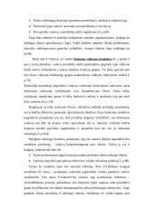 Organizacijų valdymo struktūrų raida. Linijinės, funkcinės ir matricinės jų komponentės 4 puslapis